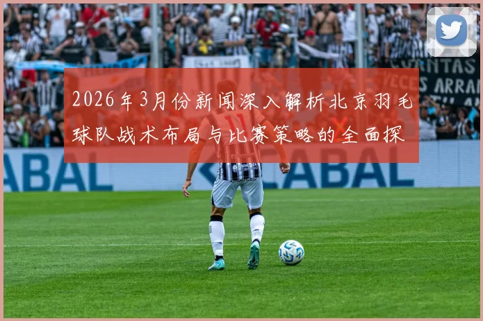 2026年3月份新闻深入解析北京羽毛球队战术布局与比赛策略的全面探讨